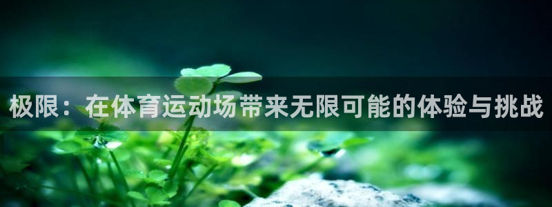 bbin视讯游戏平台