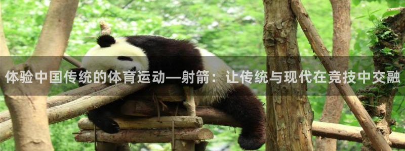 bbin视讯游戏平台：体验中国传统的体育运动—射箭：让传统与现代在竞技中交融