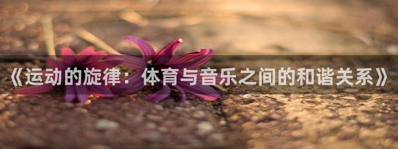 bbin视讯游戏平台：《运动的旋律：体育与音乐之间的和谐关系》