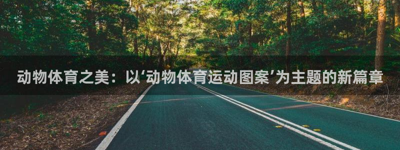 bbin视讯游戏官网