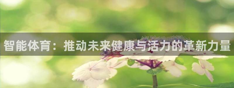 bbin视讯
