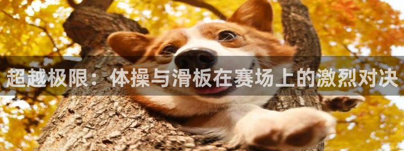 bbin视讯