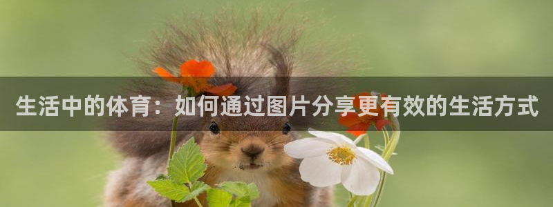bbin视讯：生活中的体育：如何通过图片分享更有效的生活方式