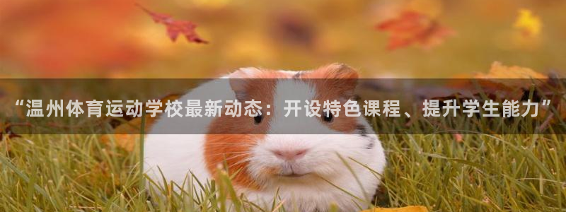 bbin视讯游戏官网