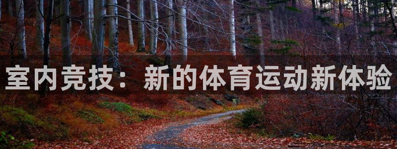 bbin视讯下