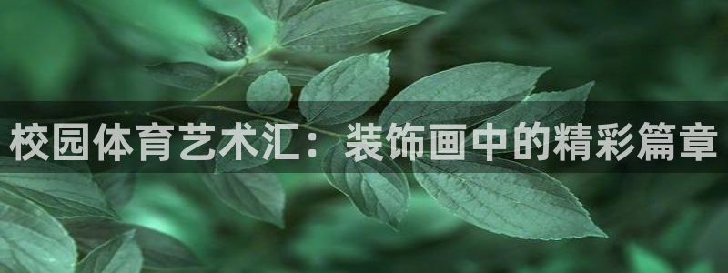 bbin视讯游戏平台：校园体育艺术汇：装饰画中的精彩篇章